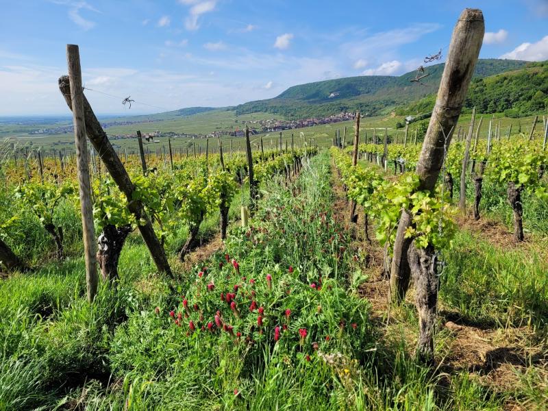 Bio diversité préservée